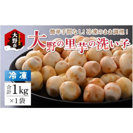 ふるさと納税 福井県 大野市 簡単手間なし！冷凍のまま調理！大野の里芋の洗い子 1kg×1袋