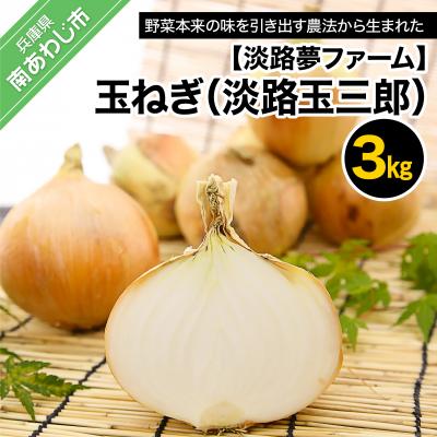 ふるさと納税 南あわじ市 玉ねぎ3kg