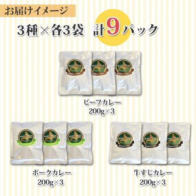 ふるさと納税 倶知安町 倶知安野菜のカレー食べ比べ3種セット ビーフ・ポーク・牛すじ 中辛 計9個