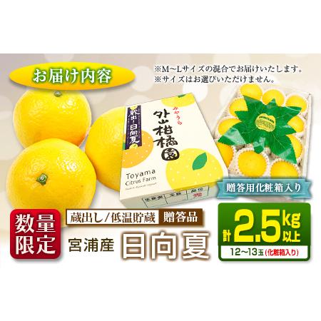 ふるさと納税 ≪数量限定≫宮浦産蔵出し日向夏(計2.5kg以上)　フルーツ　果物　柑橘　みかん　国産 BA53-23 宮崎県日南市