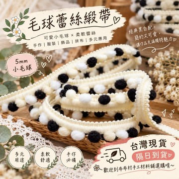 5mm毛球蕾絲緞帶 手工服裝材料(1) 手作diy材料台灣現貨