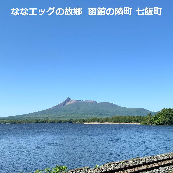 平飼い卵 22個（ 2個保証分）計24個 ななエッグ 北海道七飯町産 純国産地鶏 岡崎おうはん 有精卵 平飼いたまご たまご 卵