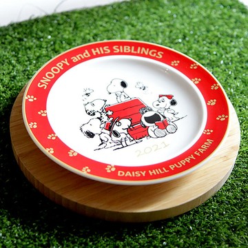 【日本yamaka/禮物首選】SNOOPY史努比-紀念年盤系列2021