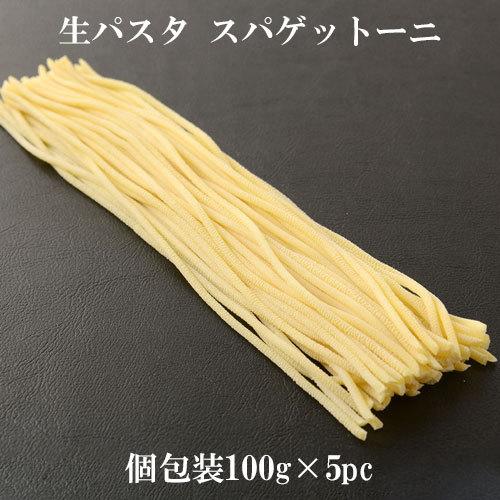 生パスタ スパゲットーニ 100g×5pcセット パスタ pasta 冷凍パスタ