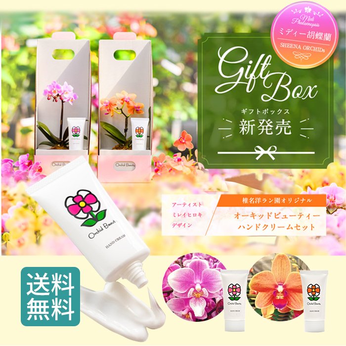 マイクロ胡蝶蘭とビューティーハンドクリーム Orchid Beauty のセット ハンドクリーム 花 プレゼント 美肌 保湿 誕生日プレゼント 記念日 女性 母 祖母 通販 Lineポイント最大0 5 Get Lineショッピング