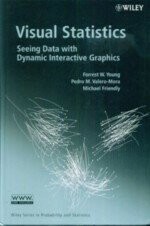 VISUAL STATISTICS  YOUNG 2006 John Wiley