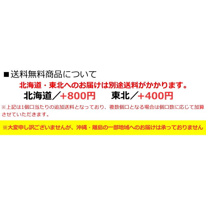 送料無料 日清 76gカップヌードル チリトマトヌードル 20食入