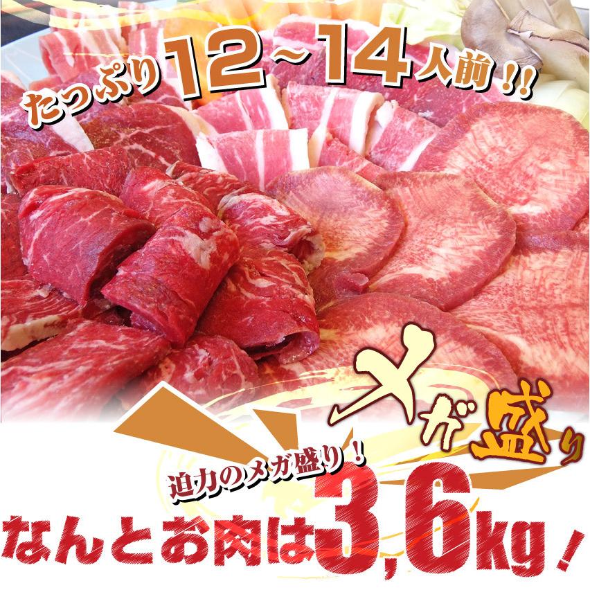 焼肉 牛肉 肉 バーベキュー ギガ盛り 6種 セット 12〜14人前 BBQ 焼くだけ 福袋 お歳暮 ギフト 食品 プレゼント キャンプ キャンプ飯