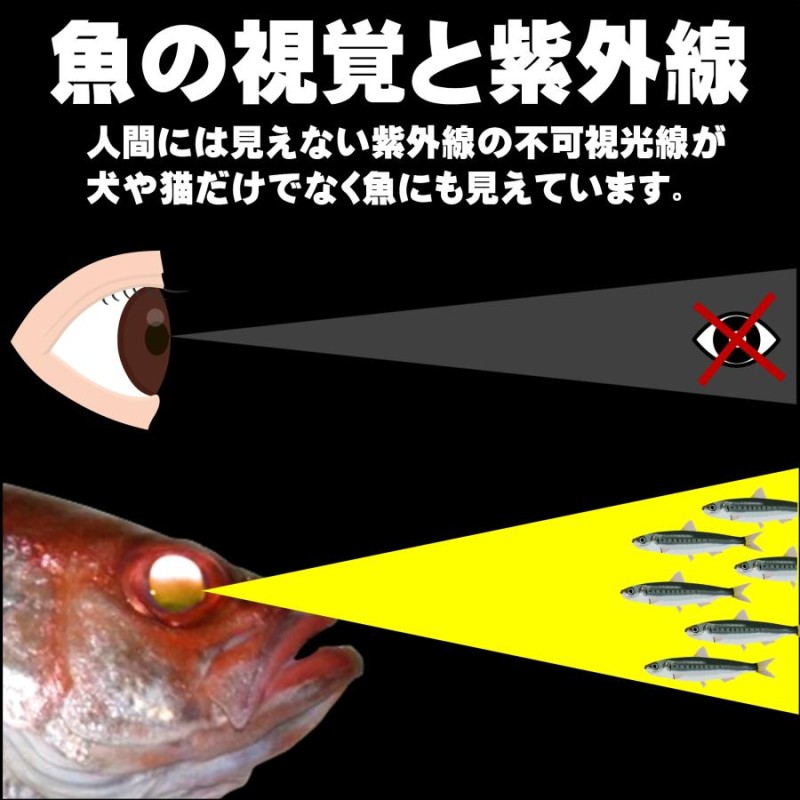 アカムツ仕掛け 釣果実績 NO.1 レッドフラッシャーアカムツ ホタ針16号・18号５本針 胴付き仕掛け アカムツ 仕掛け アカムツ 針 釣り侍のデコ針  | LINEブランドカタログ