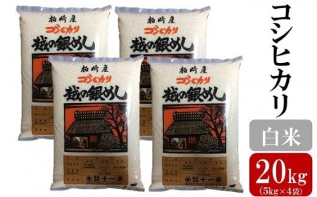 令和5年産新米コシヒカリ 白米 20kg（5kg×4袋） [G428]