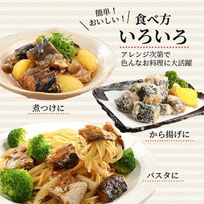 ふるさと納税 松浦市 さば水煮缶セット(12缶)