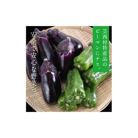 ふるさと納税 野菜とお米の詰合せ 高知県芸西村