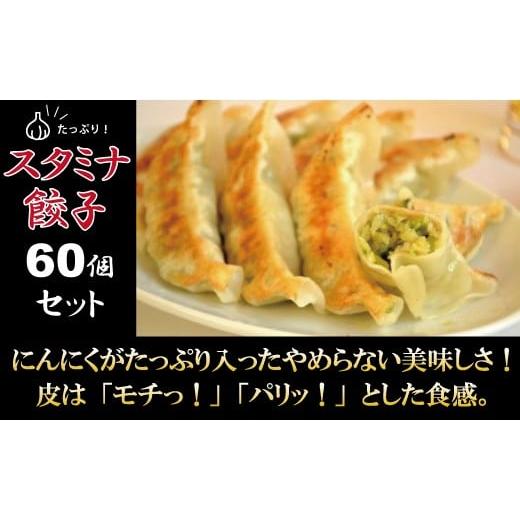 ふるさと納税 千葉県 柏市 にんにくたっぷり！スタミナ餃子　60個