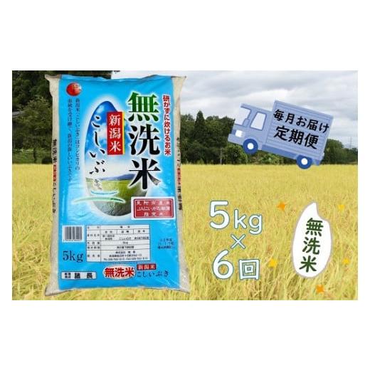 ふるさと納税 新潟県 見附市 令和5年産 無洗米　新潟県産 こしいぶき　5kg