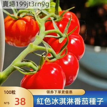 現貨🍅【紅色冰淇淋番茄種子】（100粒） 小西紅柿種子 生吃小番茄種子 多年生聖女果種籽 四季播種農田盆栽 水果蔬菜種子