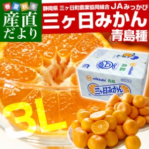 静岡県より産地直送 JAみっかび 三ケ日みかん (青島種) 3Lサイズ 7キロ (30玉から40玉）送料無料 三ヶ日 みつかび ミカン 温州みかん