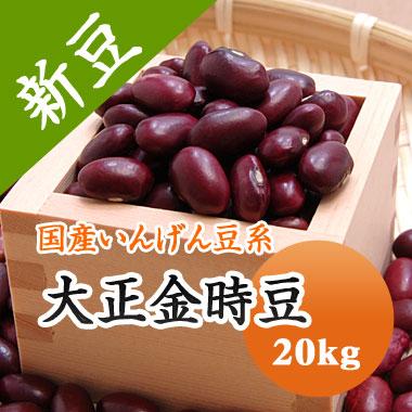 豆 金時豆 北海道産 大正金時 令和５年産 20kg 業務用 送料無料