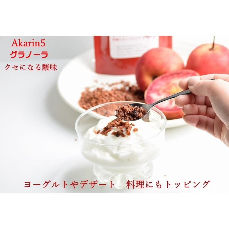 フルーツグラノーラ 青森りんご ドライフルーツ 送料無料 Akarin5 青森県産 無添加 無着色 無香料 赤リンゴ 御所川原 メール便