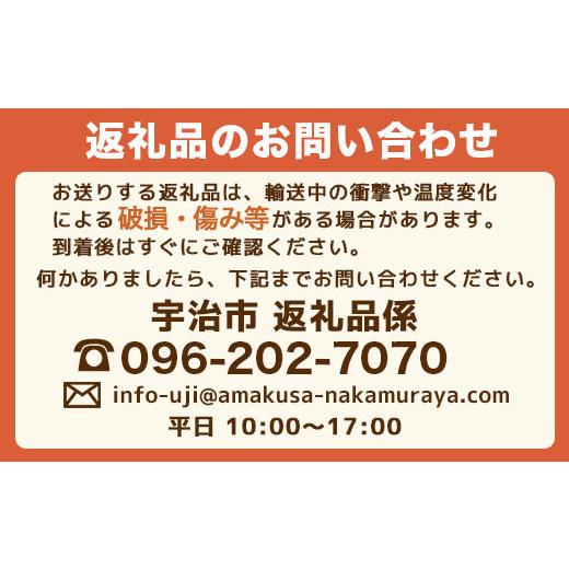 ふるさと納税 京都府 宇治市 AA18 半調理レトルト食品450g（2人前）ポーク 20袋