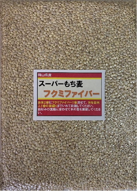 スーパーもち麦 フクミファイバー 950g 令和5年 岡山県産