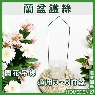 【隔日到貨】蘭盆鐵絲 蘭花吊線 洋蘭盆鐵絲 黑吊耳盆鐵絲 吊耳鐵線 吊勾 花盆吊勾 吊盆掛鈎 【HOMEDEN霍登園藝】