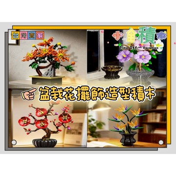 《小全積木》植物積木 擺飾品積木 梅花 木芙蓉 天堂鳥 拼裝積木 療癒系列 積木花 積木盆栽 植物 鑽石積木 模型