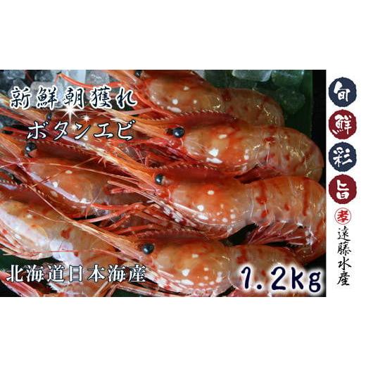 ふるさと納税 北海道 増毛町 5-019-004　ボタンエビ 1.2kg（300g×4）