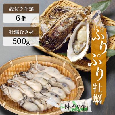 ふるさと納税 石巻市 牡蠣むき身500gと殻付き牡蠣6個のお楽しみセット