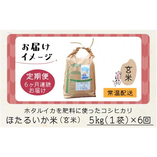 ふるさと納税 富山県 滑川市 ほたるいか米（玄米５kg）×6回 計30kg