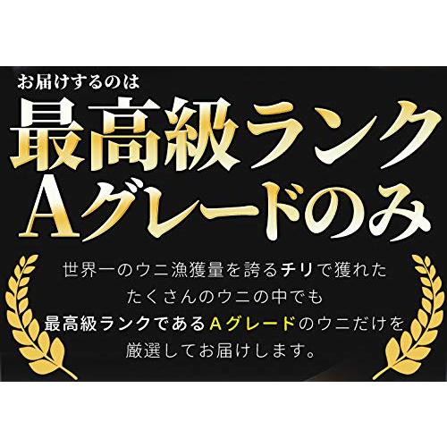 うに １００ｇ×３ 天然冷凍生ウニ 刺身雲丹 ミョウバン不使用 無添加 最高級グレードの雲丹 海鮮丼