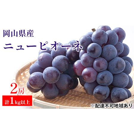 ふるさと納税 ぶどう 2024年 先行予約 ニュー ピオーネ 2房 合計1kg以上 ブドウ 葡萄  岡山県産 国産 フルーツ 果物 ギフト 岡山県高梁市