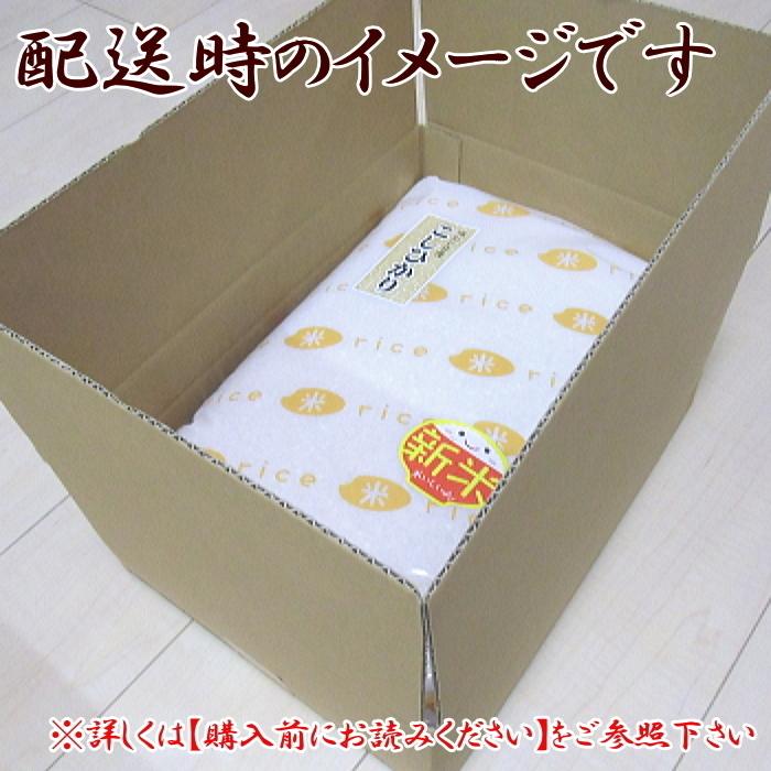 令和５年 お米 送料無料 ひとめぼれ 玄米 10kg 岩手県産 あすつく  安い 美味しい