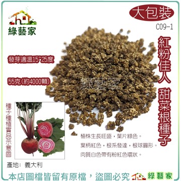 【綠藝家】大包裝C09-1.紅粉佳人甜菜根種子55克(約4000顆) 葉柄紅色，根系發達，根球圓形。 根莖類