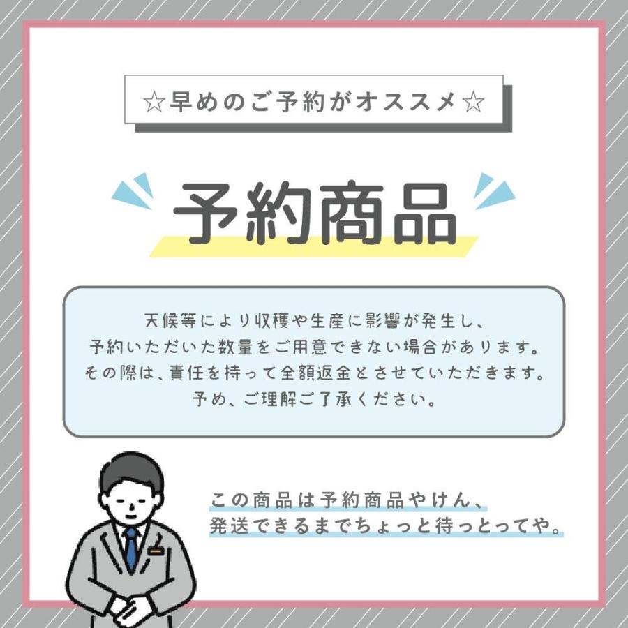 キウイ フルーツ 通常品 5kg 送料無料 国産 ギフト 果物 くだもの 家庭用 産地直送