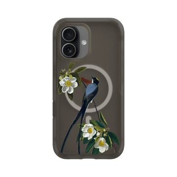 iPhone 17 AirX 本質黑 - The British Library - 美洲鳥譜 ‧ 叉尾霸鶲