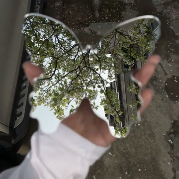 ⚡免運可開發票⚡網紅小紅書蝴蝶同款化妝鏡補妝便攜春日拍照神器意境便宜加厚創意
