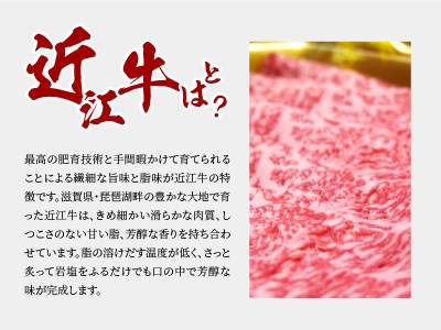 近江牛ロース　200ｇ×2　近江牛ヒレ　150ｇ×2