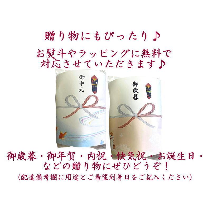 のし餅 通販 切り餅 送料無料 新潟産こがねもち のし餅2枚分（９個入×8袋) 無添加 真空パックでお届け のし餅を切りました