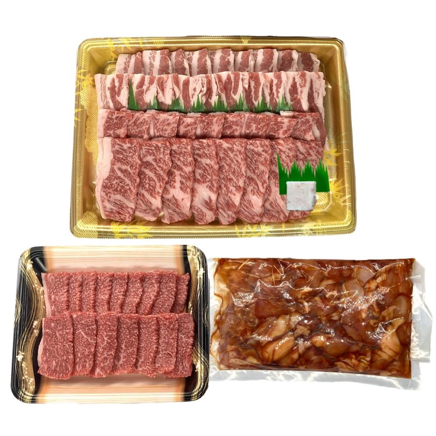 国産4種 バーベキューセット 焼き肉セット 肉 牛肉 豚肉 鶏
