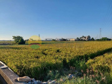 #花壇鄉口庄段區段徵收潛力農地｜誠邀開發｜彰化縣花壇鄉口庄段