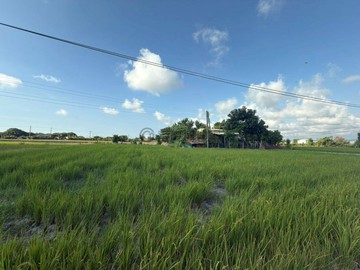 獨家大安區│東安段大面寛農地(附農舍)當個快樂農夫｜台中市大安區東安段