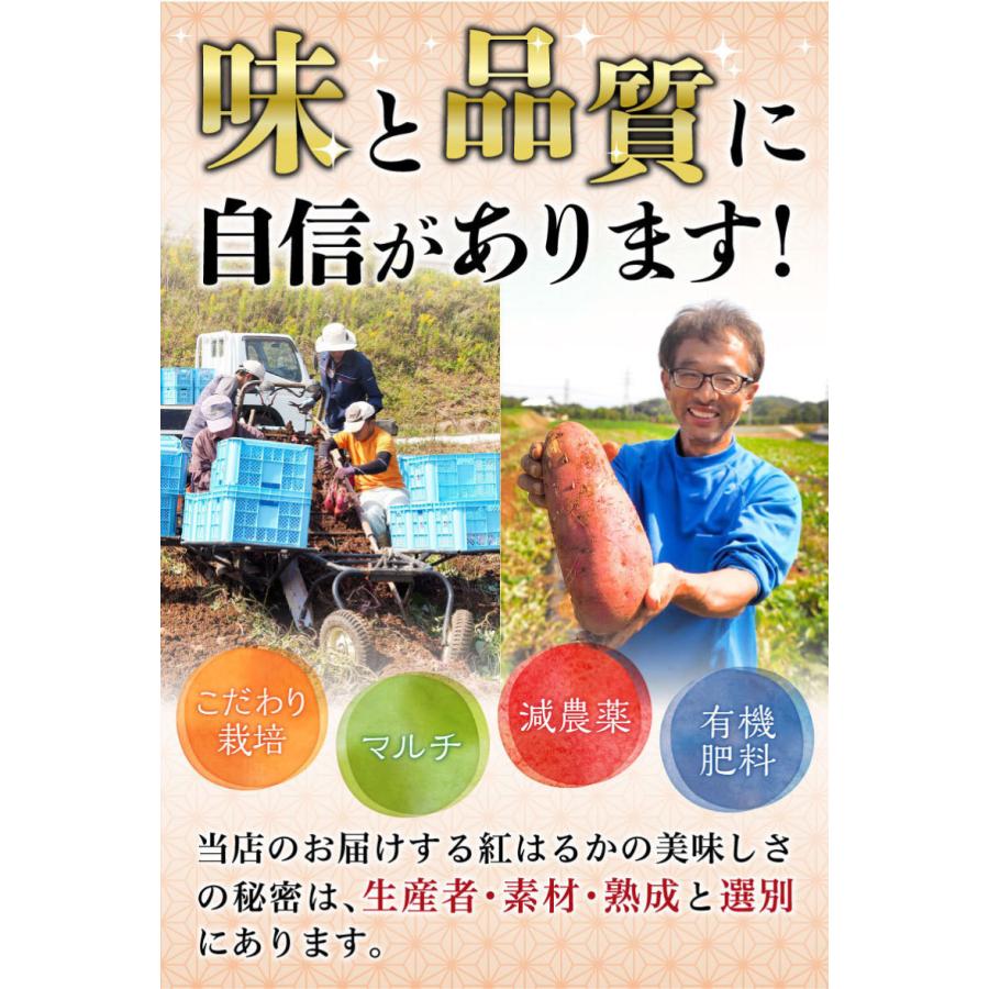 さつまいも 紅はるか A品 生芋M Lサイズ混合 130g〜300ｇ土つき 鹿児島 産地直送 5kg×1箱 送料無料 S常