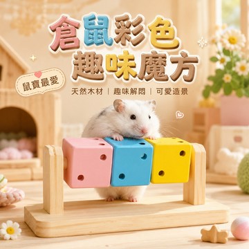 倉鼠磨牙玩具 趣味魔方玩具 小寵互動玩具 倉鼠彩色魔方轉轉樂 倉鼠解悶玩具 倉鼠用品 倉鼠玩具 倉鼠轉轉樂 互動玩具