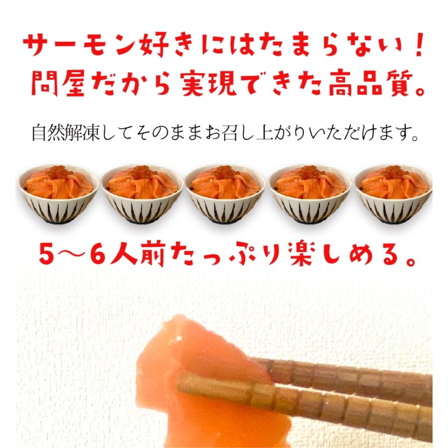 訳あり サーモン 切り落とし 500g たっぷり メガ盛り 切落し 生食用 海鮮 お試し 在宅 母の日 父の日 敬老 お中元 お歳暮 ギフト