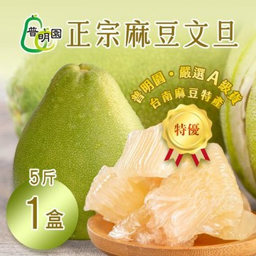 特A級【普明園】正宗麻豆文旦 5斤箱（6-8顆）x1箱 -七個工作天出貨