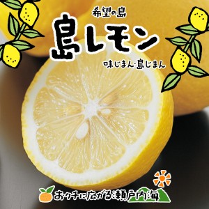 希望の島 国産レモン 訳あり品 10kg 残留農薬ゼロ ユーレカレモン 瀬戸内レモン 国産 愛媛 中島産