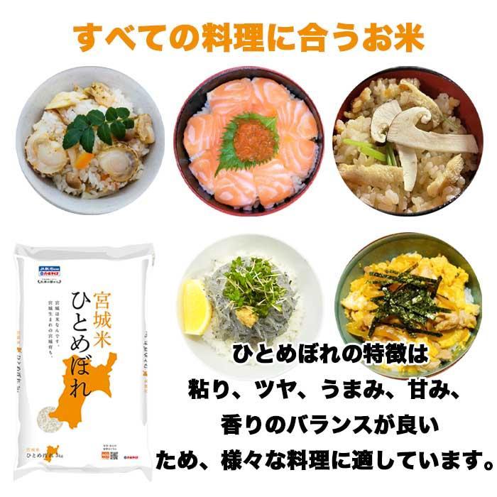 ひとめぼれ 10kg 5kg×2 令和5年産 宮城県産 米 お米 白米 おこめ 精米 単一原料米 ブランド米 10キロ 送料無料 国内産 国産