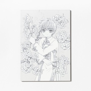 庫洛魔法使 透明牌篇 木質明信片 李小狼