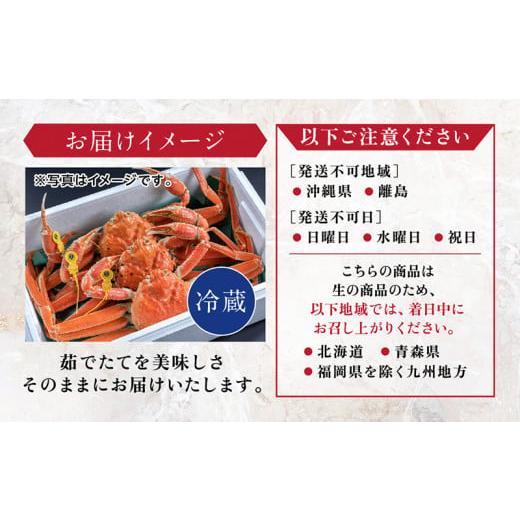 ふるさと納税 福井県 越前市 越前がに（オス）「ずわいがに」大サイズ（800g-1kg） 訳あり 2杯