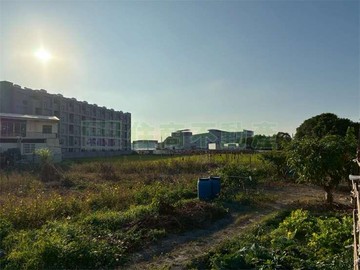 環中路旁近綠美圖農地｜台中市西屯區同志巷